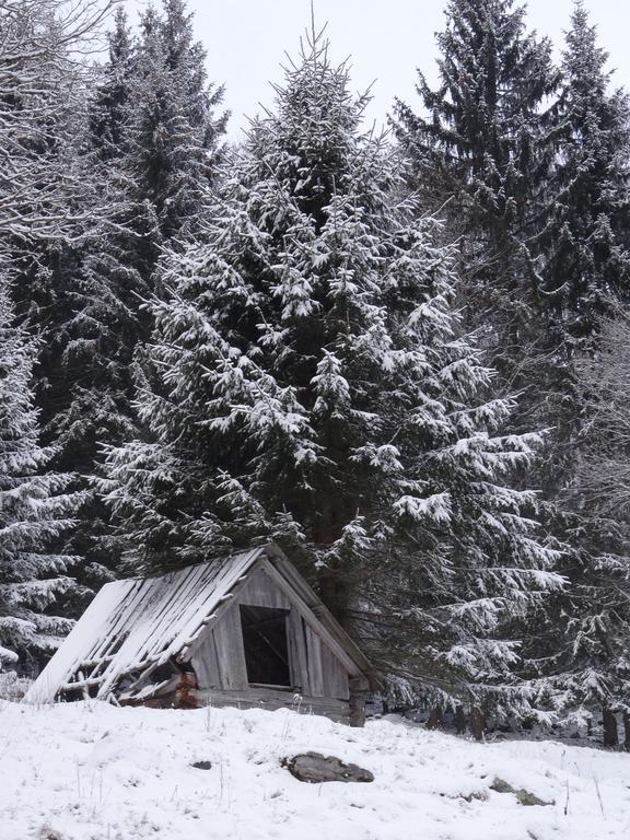 Rojerhof Schladming Exterior foto