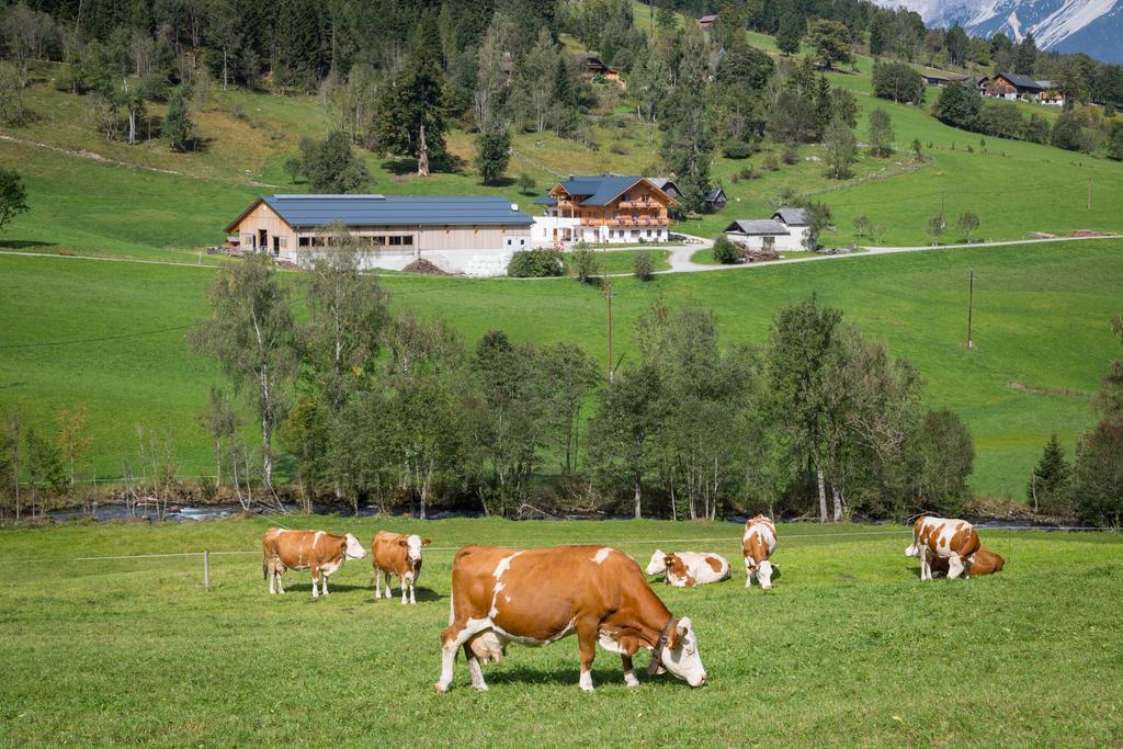 Rojerhof Schladming Exterior foto
